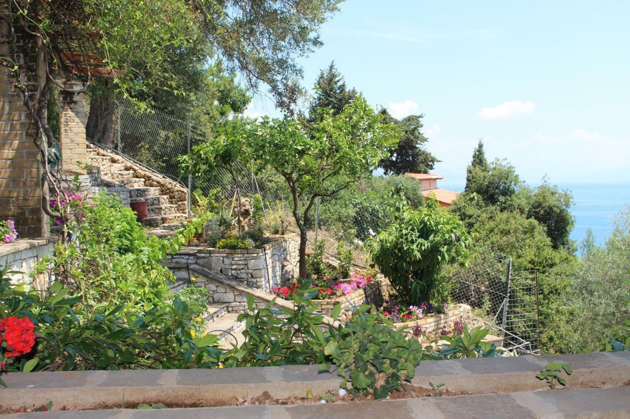 Aris Studio Corfu Pyrgi  Exterior foto
